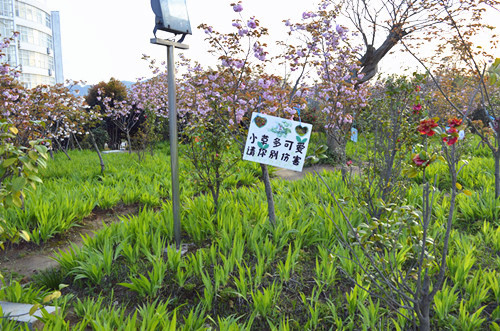 0638太阳集团官网举办挂树牌活动